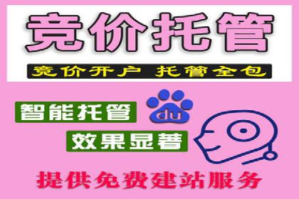 百度SEO推广公司成功案例集锦：多行业适用策略分享